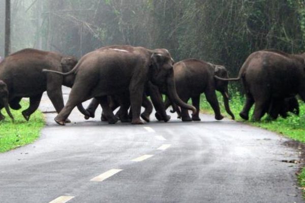 Family Weekend Getaways from Bangalore