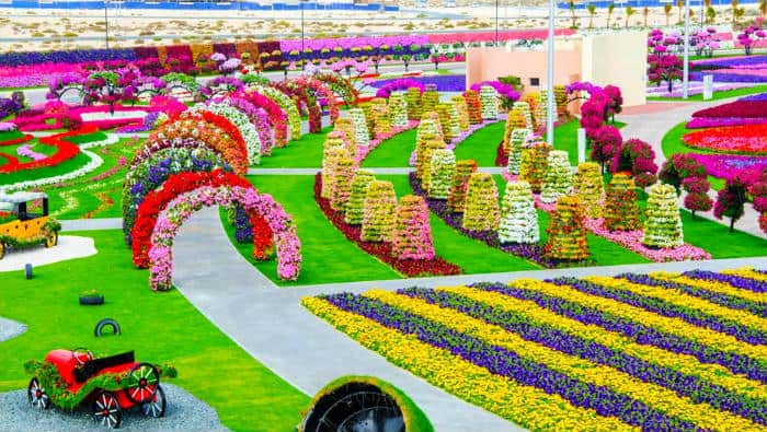 Things to do in Dubai - Miracle Garden