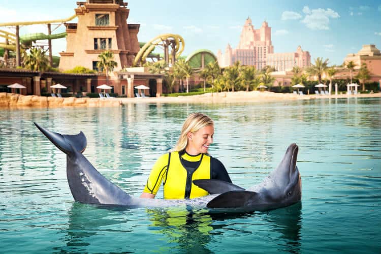 Things to do in Dubai visit Dolphin Bay