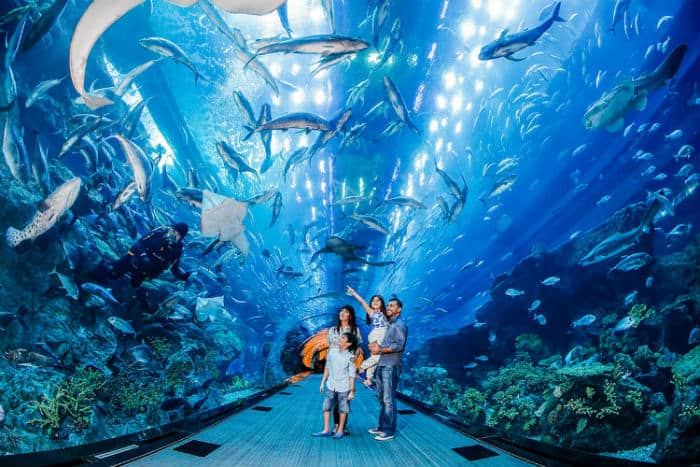Things to see in Dubai Aquarium