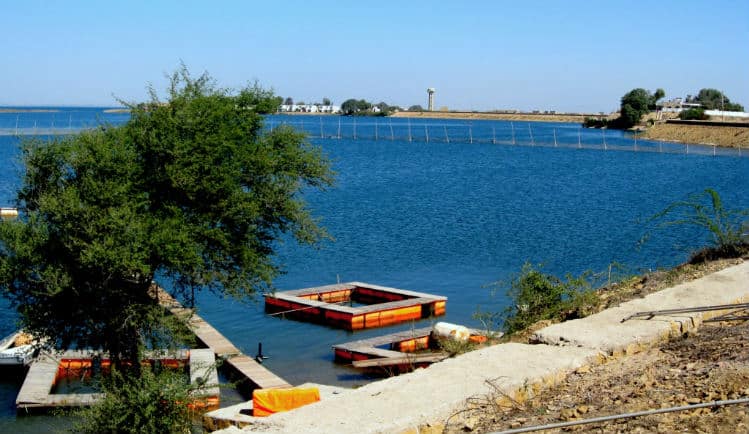 Weekend getaway from Karachi - Haleji Lake