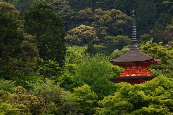 Safe places in Asia for solo travelers on a budget