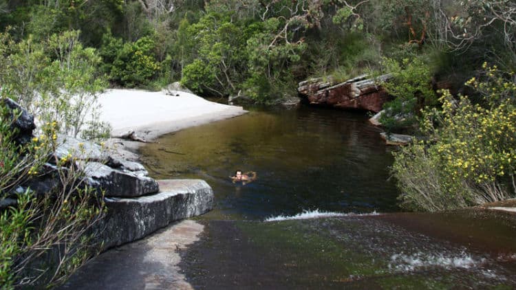 Royal National Park near Sydney