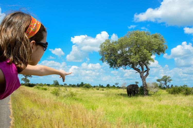 Kids in Safari