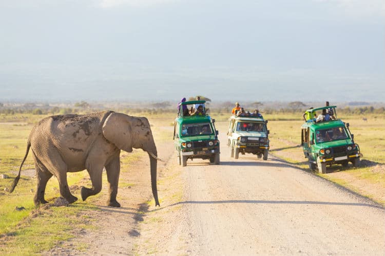 Safari in Kenya