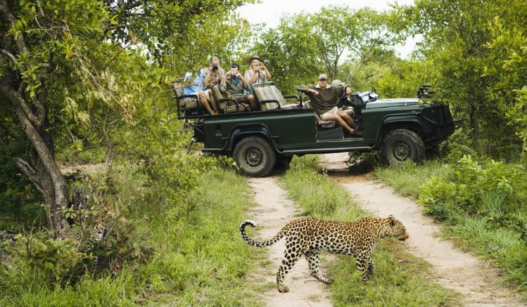 Safari in South Africa