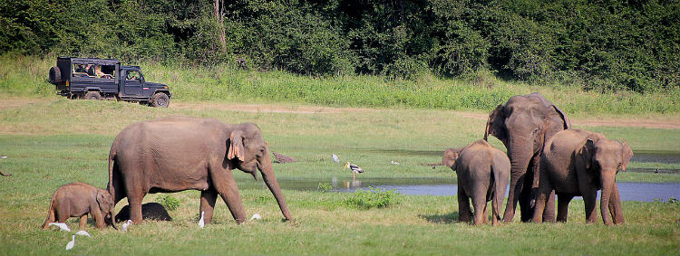 Moderately priced break in Sri Lanka