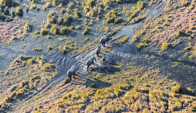 Okavango Delta, Botswana