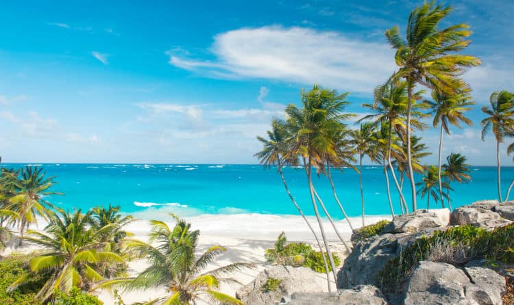 Romantic Barbados beach