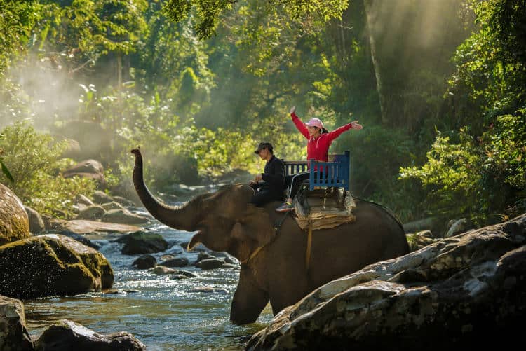 Solo Travel in Vietnam Solo travel in Vietnam on elephant