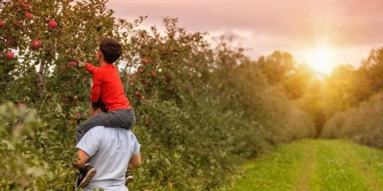 Weekend getaway from California Apple orchards