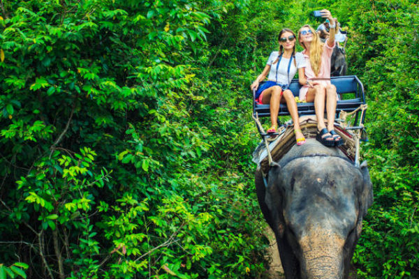 Best wildlife holidays
