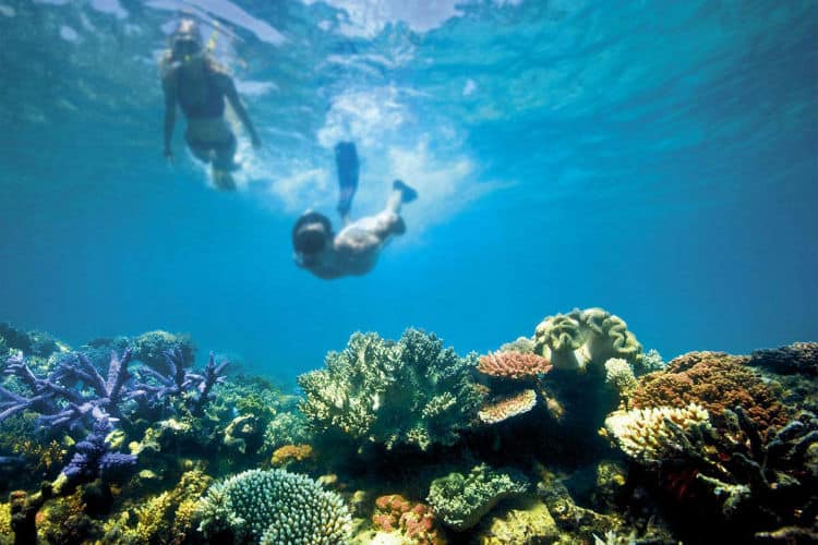 Holiday in Great Barrier Reef, Australia