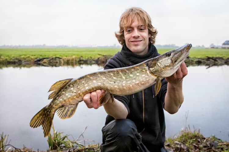 Fishing in Friesland, Netherlands