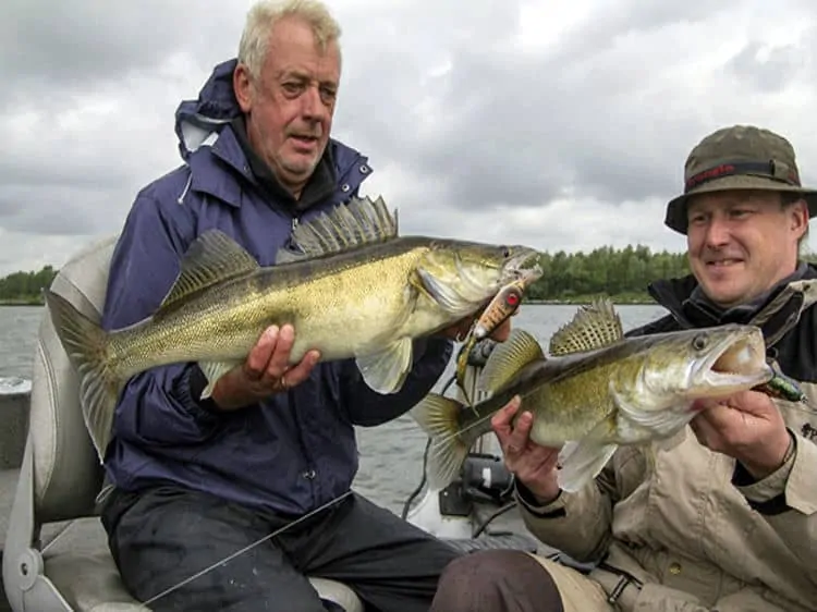 Fishing in Randmerens, Netherlands