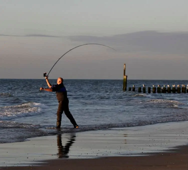 Fishing in Zeeland, Netherlands