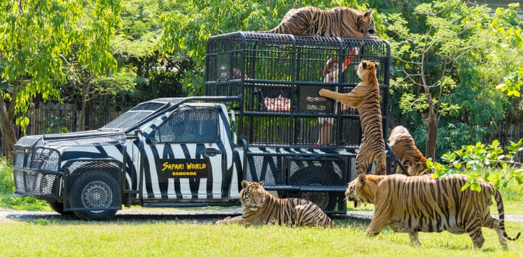 Safari World, Bangkok