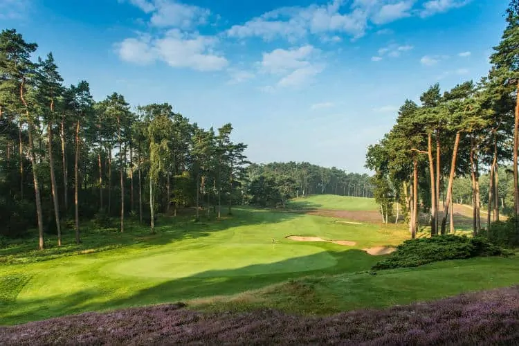 Hamburger Golf Club, Falkenstein, Germany