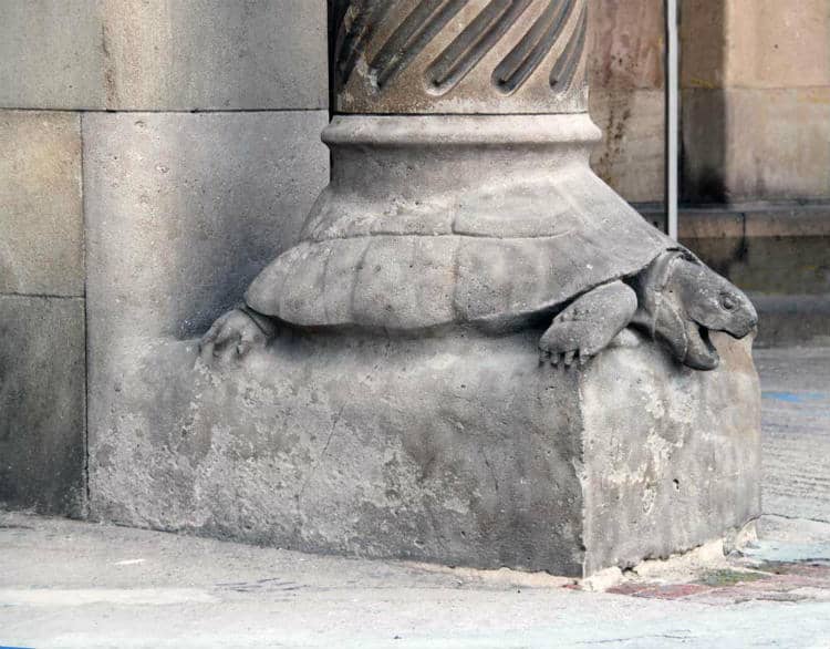 Turtle fact about Sagrada Familia
