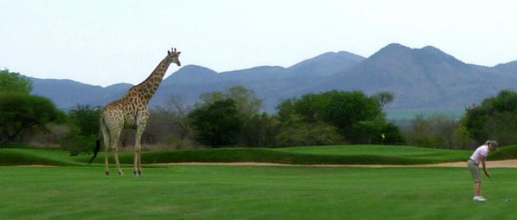 Leopard Creek Country Golf Course, South Africa