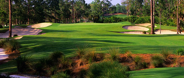 Calusa Pines Golf Course, Florida