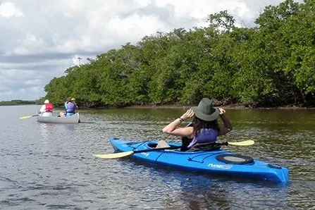 Kajak v Everglades Miami