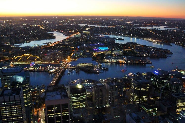 View from Sydney Tower at night