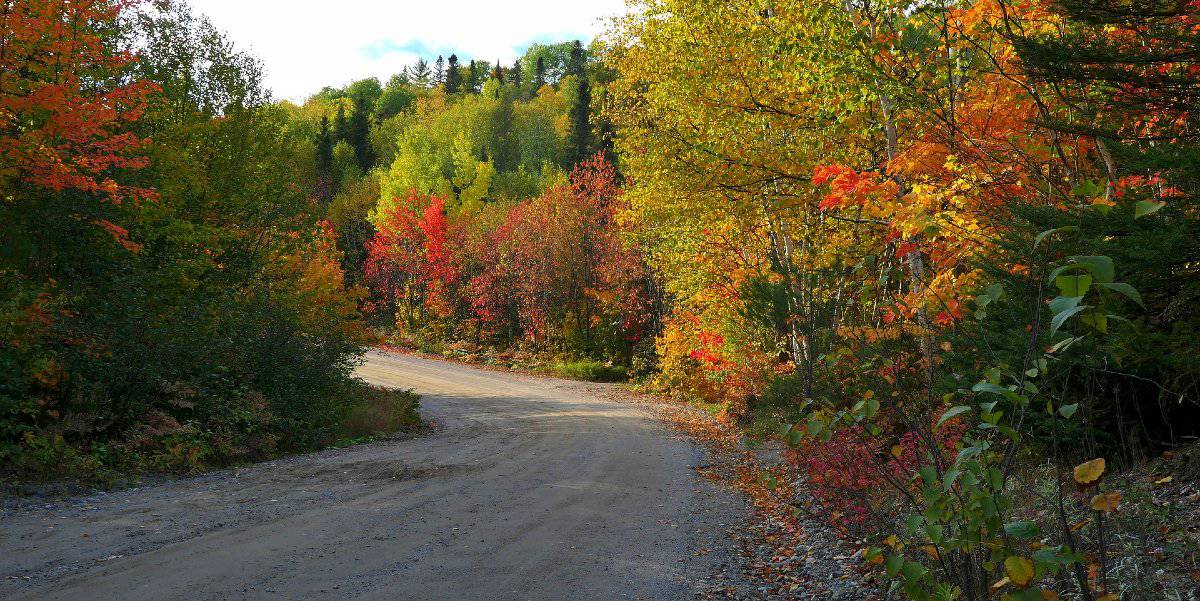 Self driving holidays in Quebec