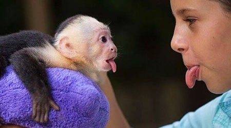 Animal Interactions at Jungle Island Miami