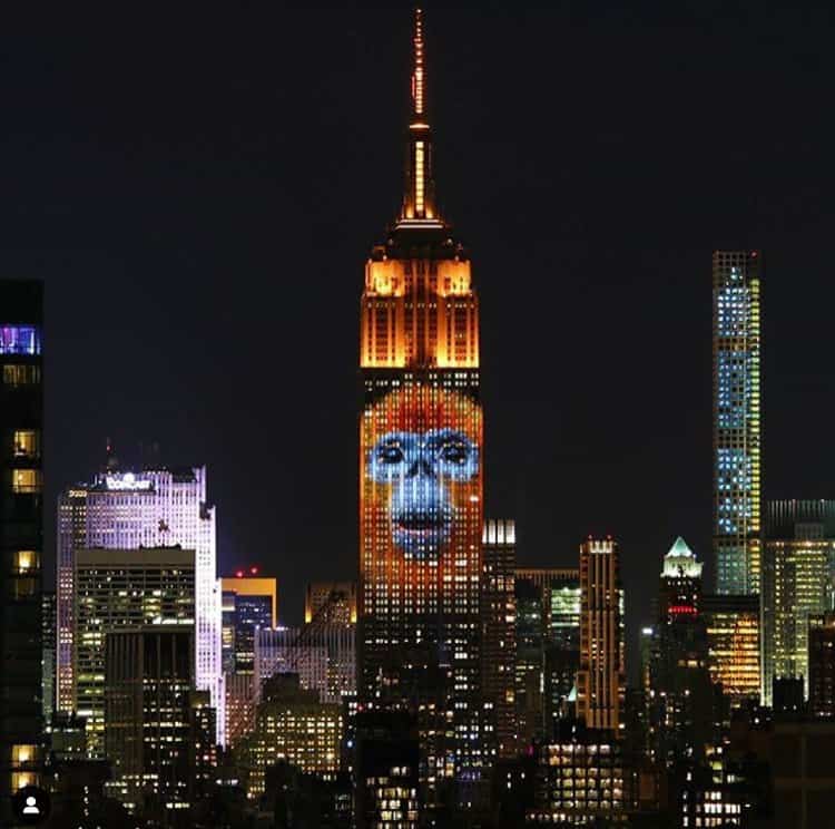 Gorilla projected on ESB