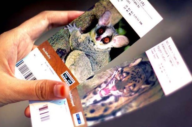 singapore night safari ticket price