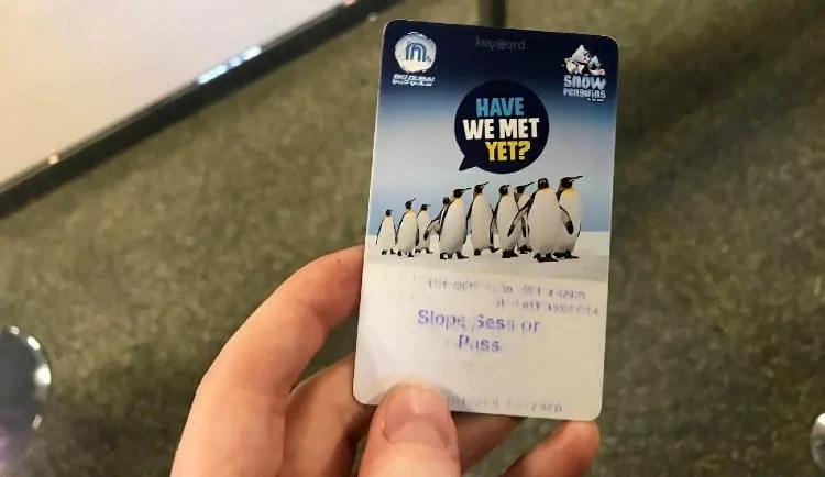 Ski Dubai tickets