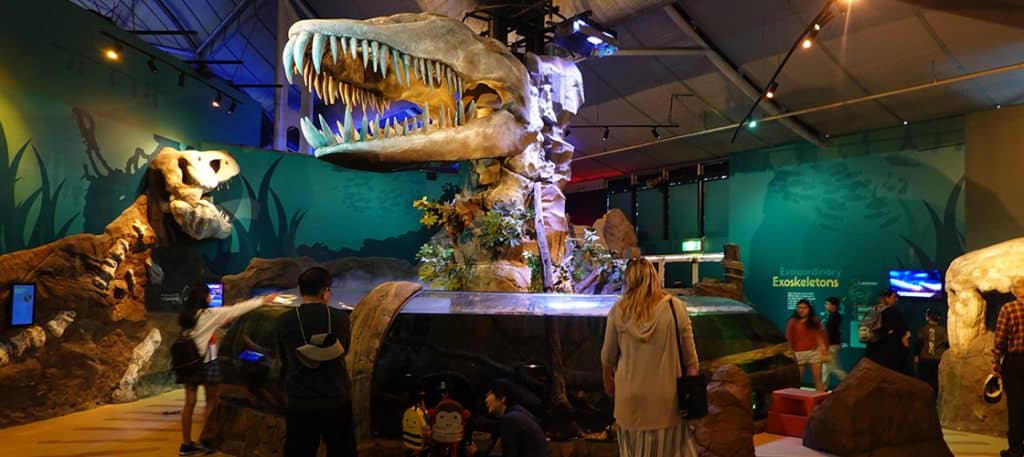 Jurassic Seas at Sydney Aquarium