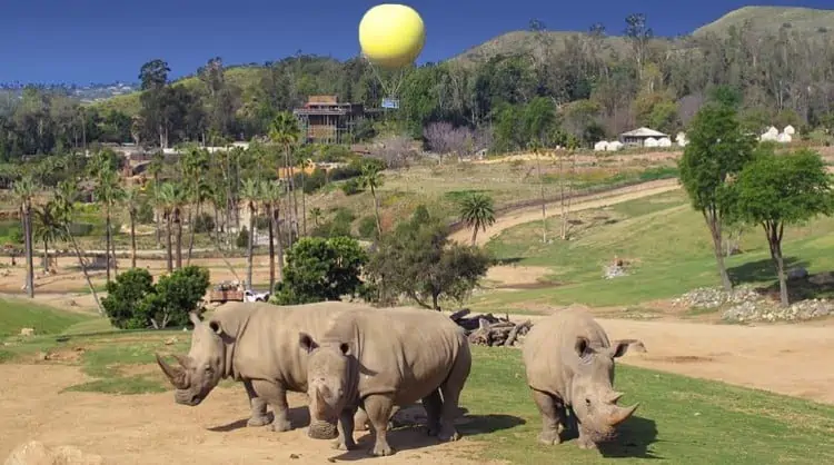 african safari san diego