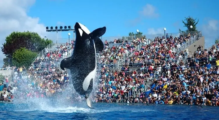 Crowd at SeaWorld San Diego