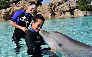 Dolphin encounter at San Diego