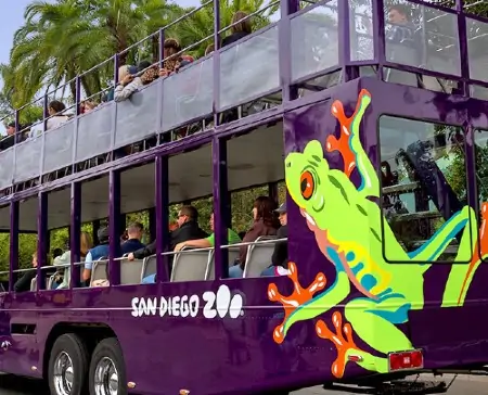 Guided bus tour at San Diego Zoo