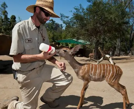 Keeper Talks at San Diego Zoo