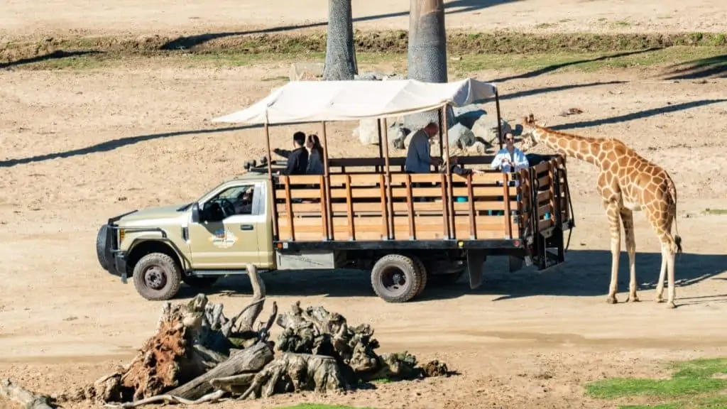 San Diego Safari Park