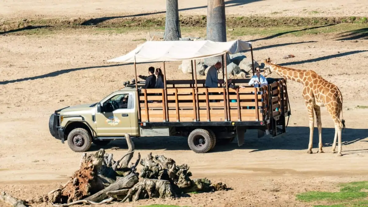 san diego safari park deluxe cart safari