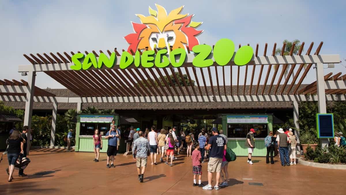 Logisch radar Motiveren San Diego Zoo tickets, prijzen, kortingen, dieren en shows om te zien