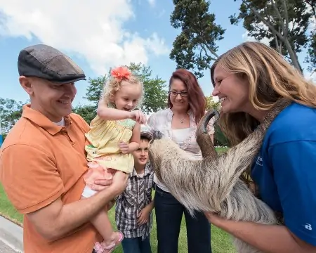 Sloth Encounter at SeaWorld San Diego