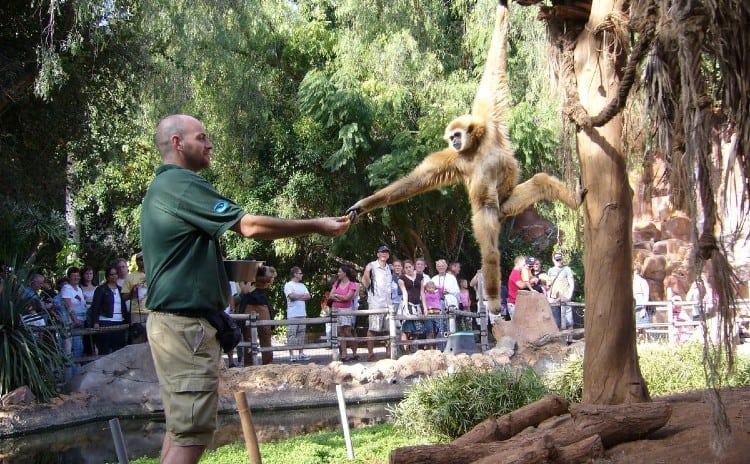 Barcelona Zoo Tickets Prices Discounts Animals Dolphins Show