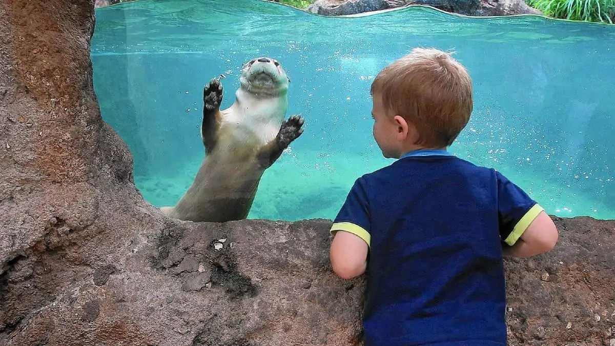 Central Florida Zoo, Sanford