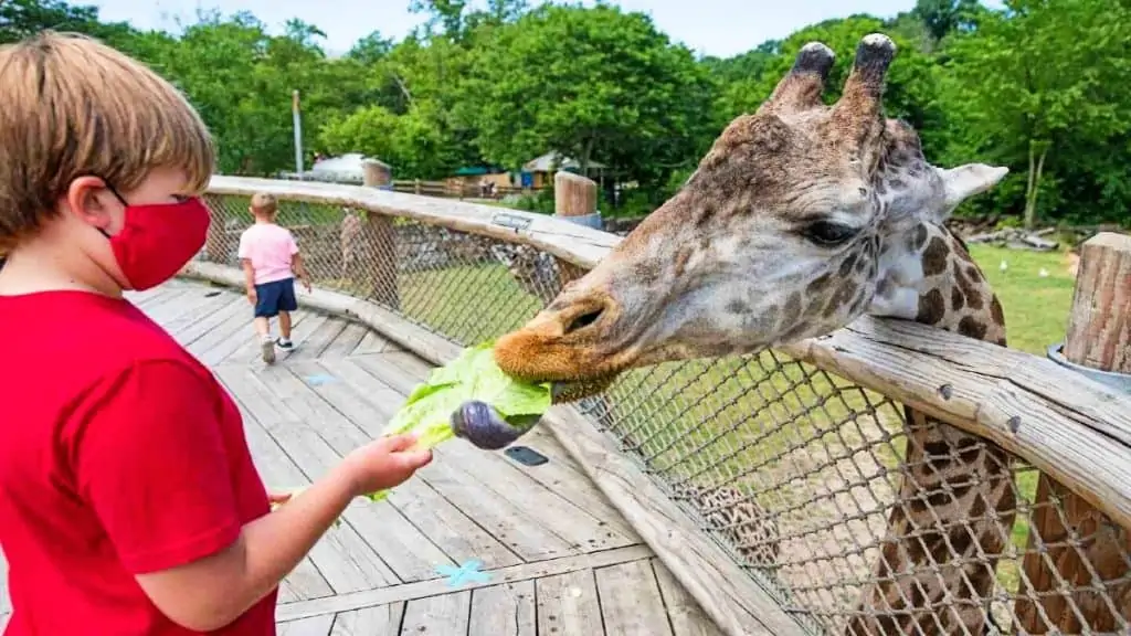 Cleveland Zoo tickets prices discounts animals to see train ride