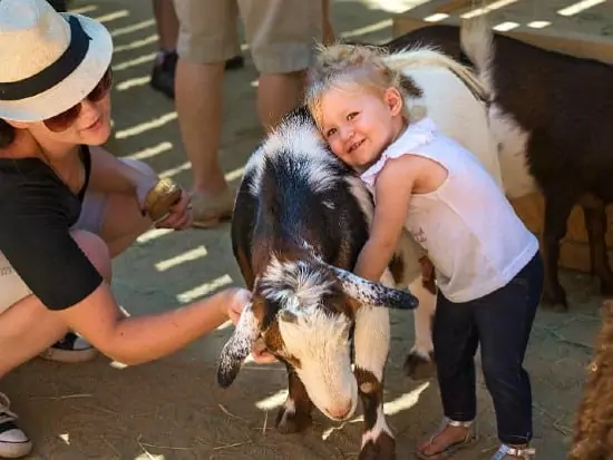 Kid with goat in Muriel's Ranch