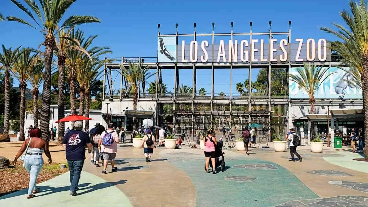 Los Angeles Zoo - tickets, prices, discounts, animals, safari shuttle