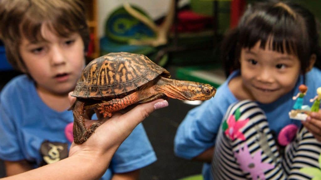 Zoológico de Queens en Nueva York