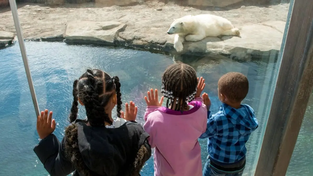 columbus zoo org