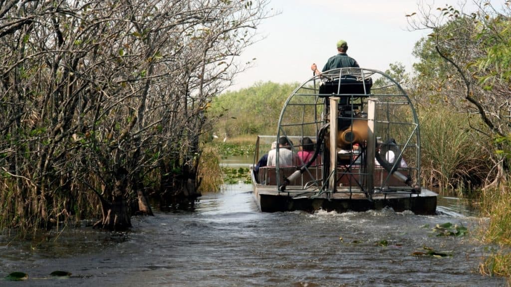 Parque Nacional Everglades Miami